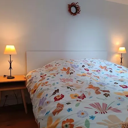 Proche Centre Historique *