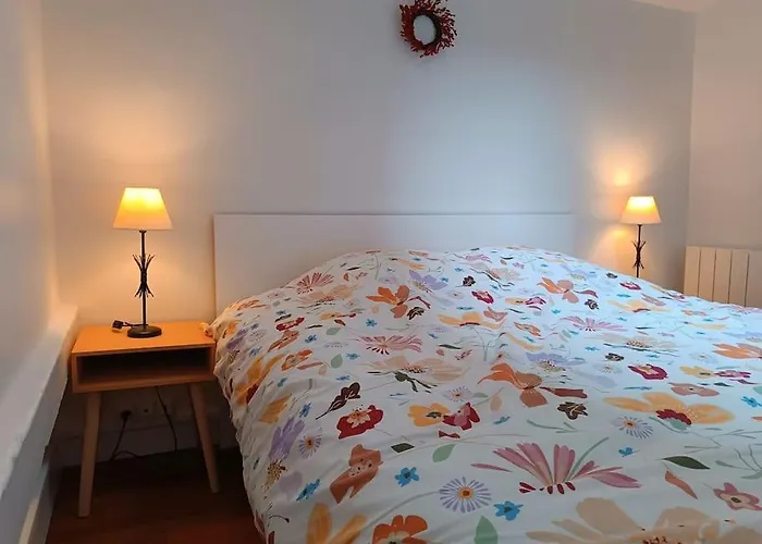 Proche Centre Historique *