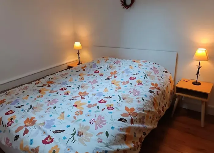 Proche Centre Historique アパート ルーアン